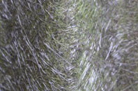 Wincham fibreglass roof work